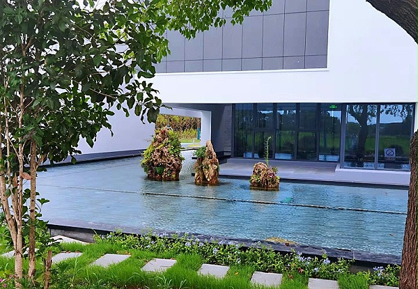 631882348329dd1a51ac9af650a9602