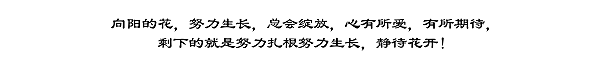 鷄湯