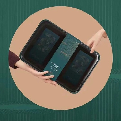 CHUNZHI®||2022端午礼（2）粽情端午（单层版）