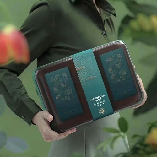 CHUNZHI®||2022端午礼（2）粽情端午（单层版）