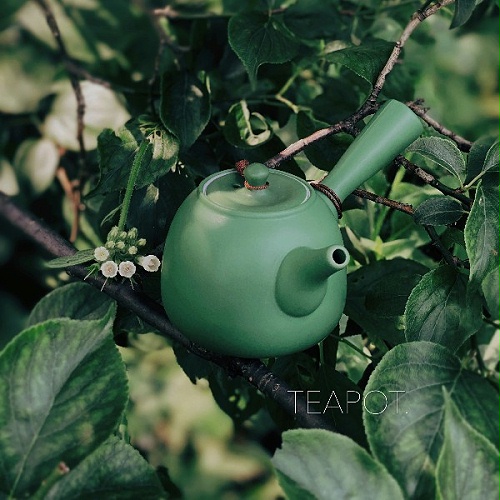 CHUNZHI®||2020端午礼(1)“一见粽情”