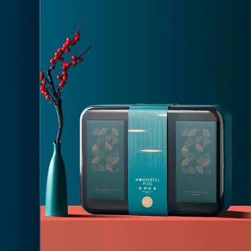 淳之新品：2022端午礼——粽情端午（单层版）