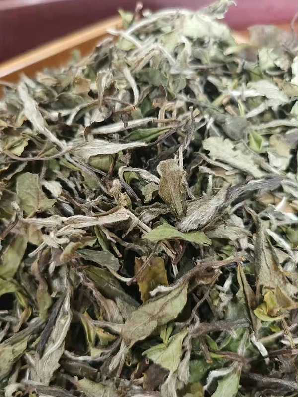 f4587da7a6687c1ca727243c6692968