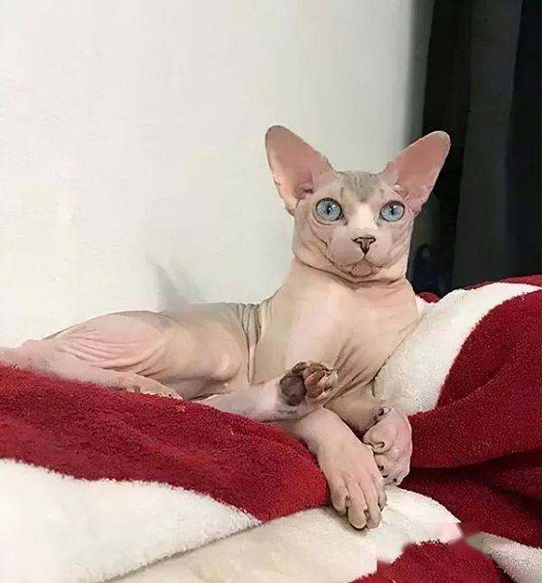 4d086e061d950a7bc07a01ef147fa5d0f3d3c982 4d086e061d950a7bc07a01ef147fa5d0f3d3c982