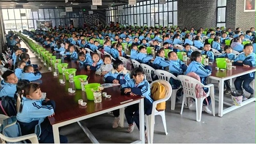 春游 || 春日研学正当时，博物馆里寻匠心