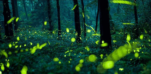 微信图片_20220706174803