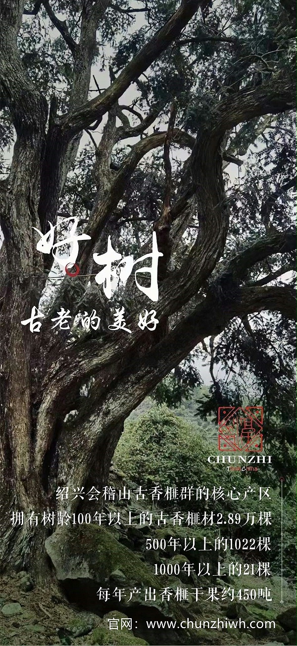 微信图片_20211118142332