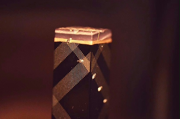 微信图片_20220604163959