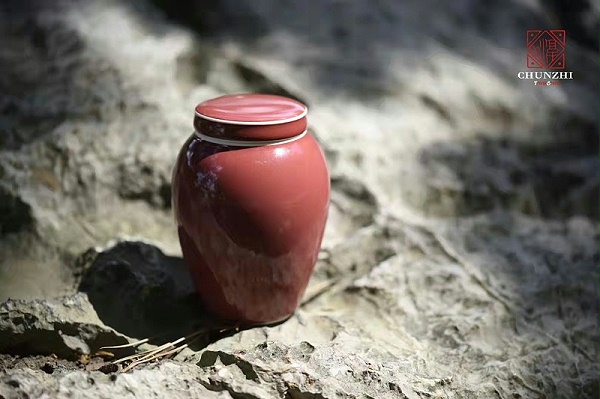 微信图片_20220316173821