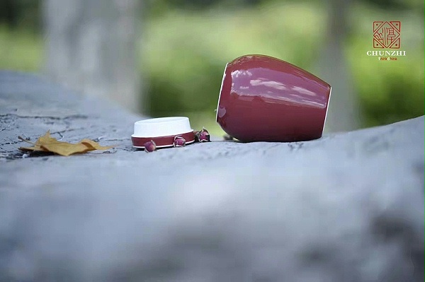 微信图片_20220316173818