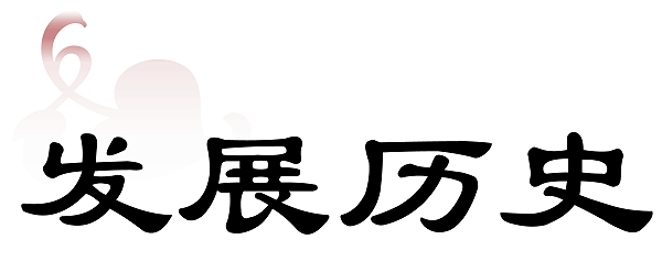 发展历史