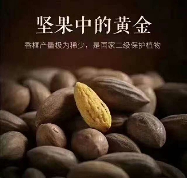 微信图片_20211108113530 微信图片_20211108113530