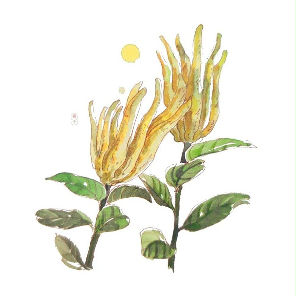 src=http___static.hualol.com_p_hua_upload_images-news_c_bf_cbff55fb8c9edfdc4ecca1462d9bdc5e.jpeg&refer=http___static.hualol