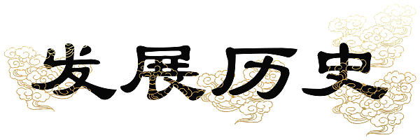 发展历史
