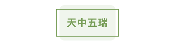 屏幕快照 2021-04-06 18.42.10