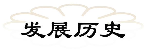 发展历史