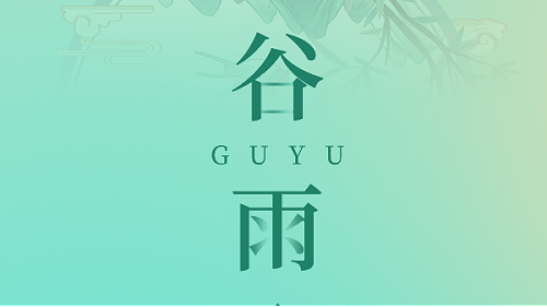 CHUNZHI® || 诗写梅花月，茶煎谷雨春