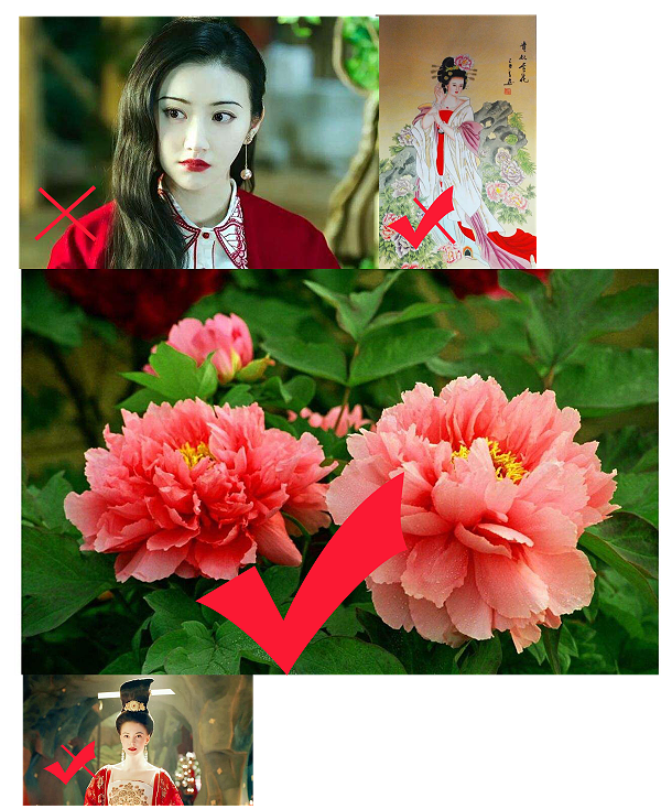 dTRCYYiDtp8lUPmPb89xnL3PEh4xZFgQa8MQSMgVU0SFAgAAdwEAAEpQ