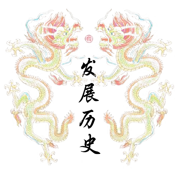 发展历2