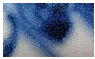 558c11887968176ee7b3cef12629018