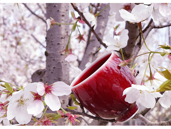 微信图片_20220421130037