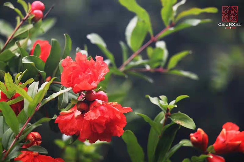 微信图片_20220326121030