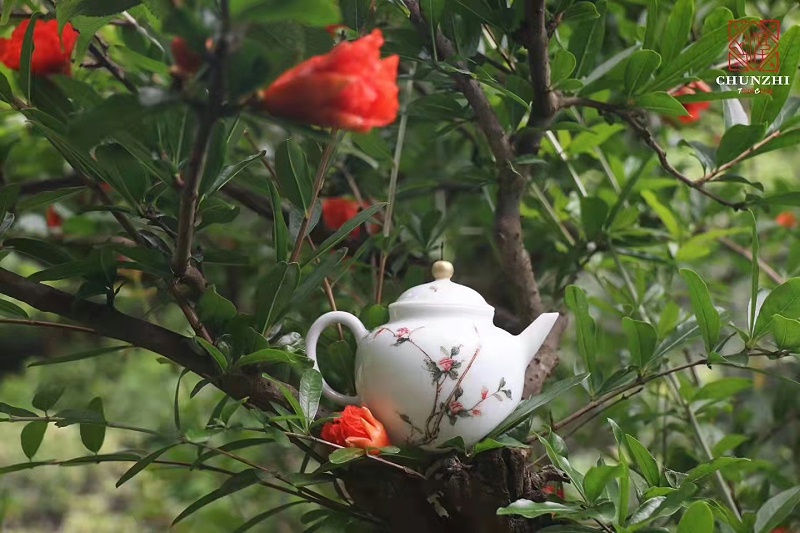 微信图片_20220326121016