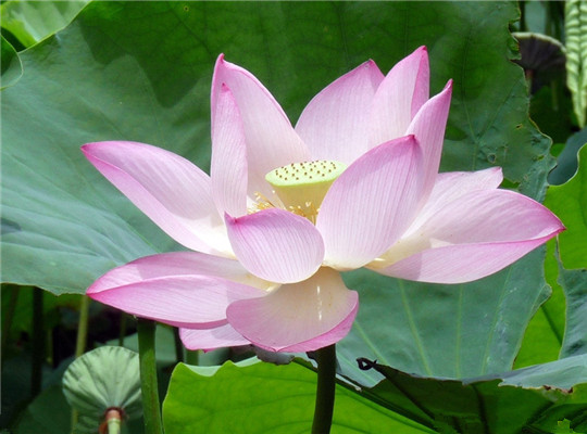 20170915171152_103652