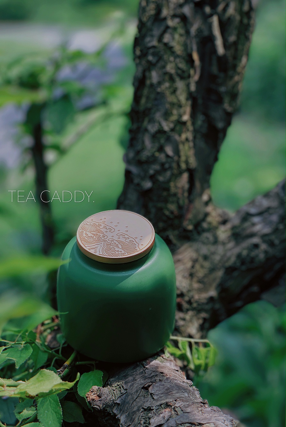 一见棕情端午礼 (2)