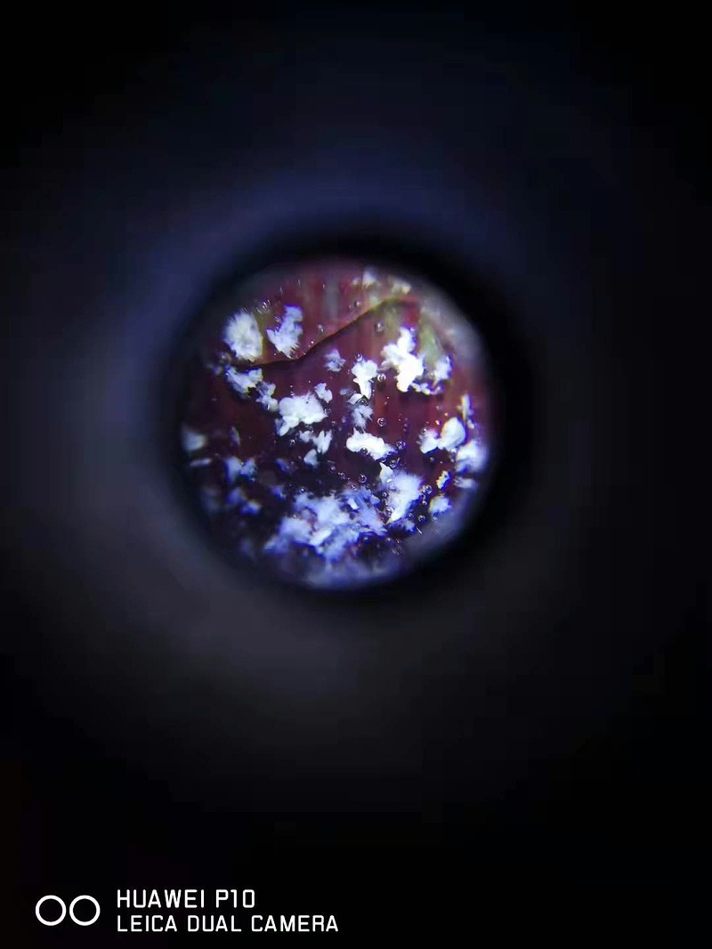 1d6b8db9983d51c7f9355d5c9776f95