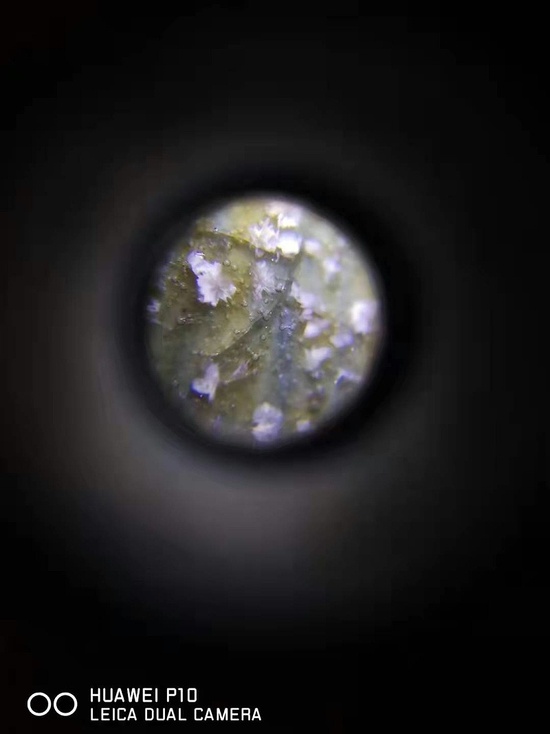 ed40015e88154d97964786edb48f6f7