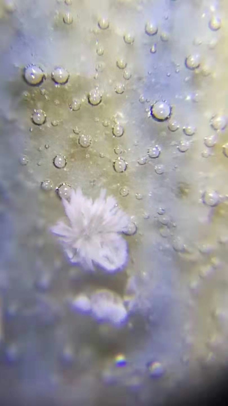 3f44acc2f654aeae307b801d09d047c