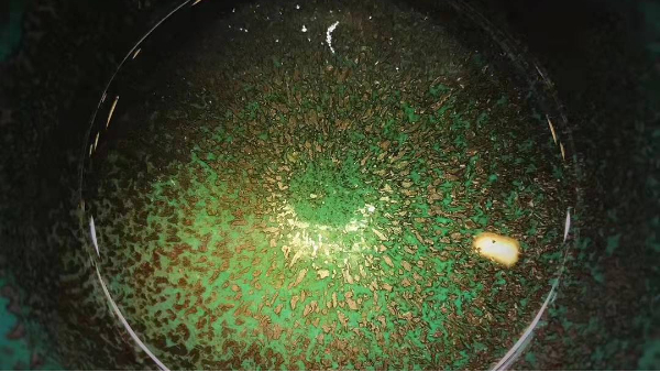 d8b3292a3097f2a5f638150680ec597