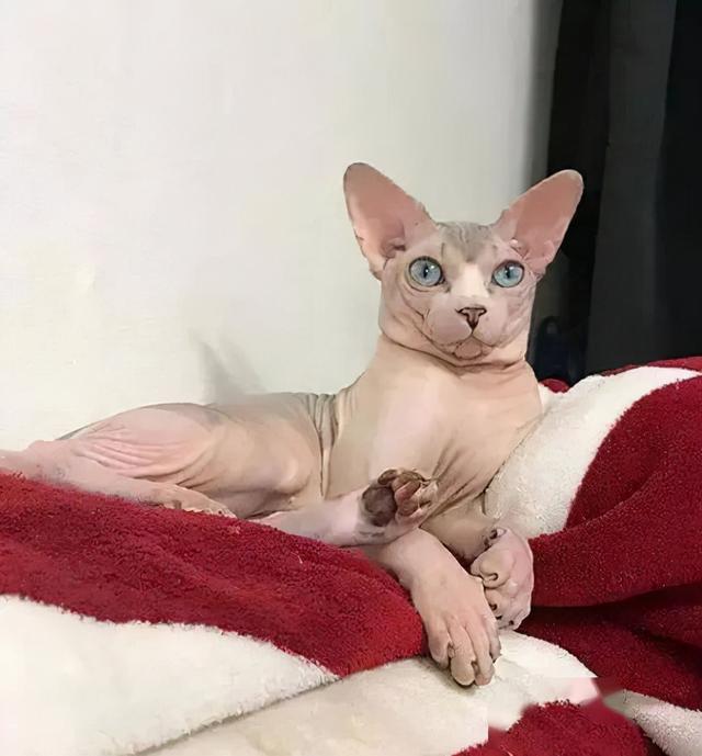 4d086e061d950a7bc07a01ef147fa5d0f3d3c982 4d086e061d950a7bc07a01ef147fa5d0f3d3c982