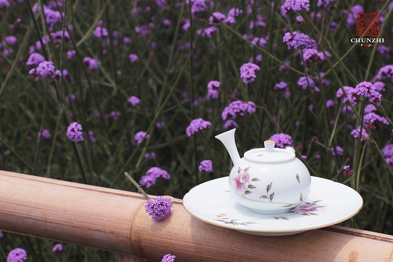 紫月季场景 (10)