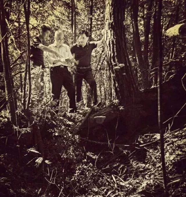 5bafa40f4bfbfbed150e7a61d270e53faec31fe6