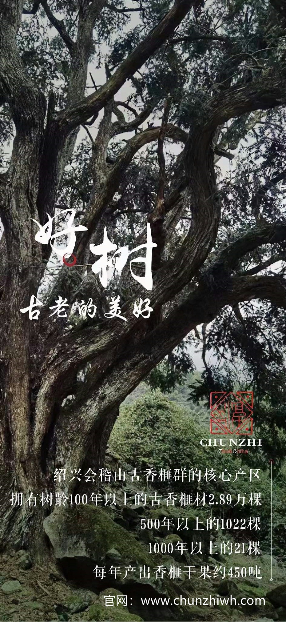 微信图片_20211118142332