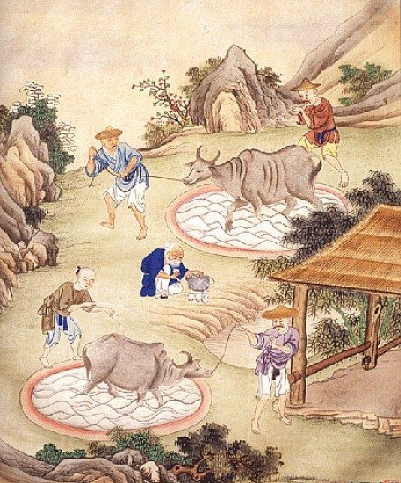 b7e75706f94b7e638c53765212cdf37