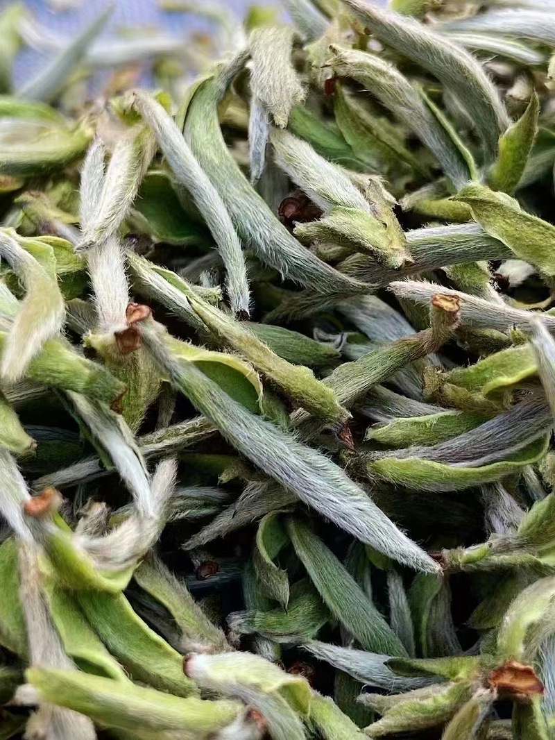 微信图片_20220625153522