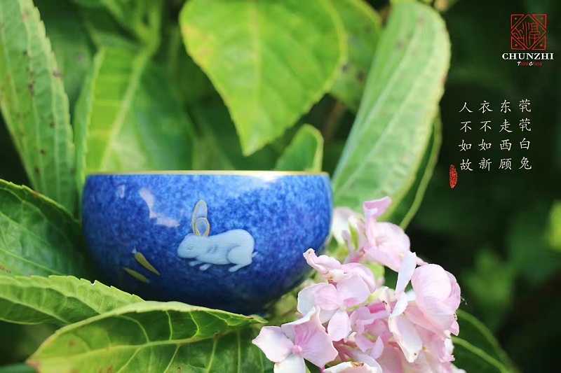 微信图片_20220410125108