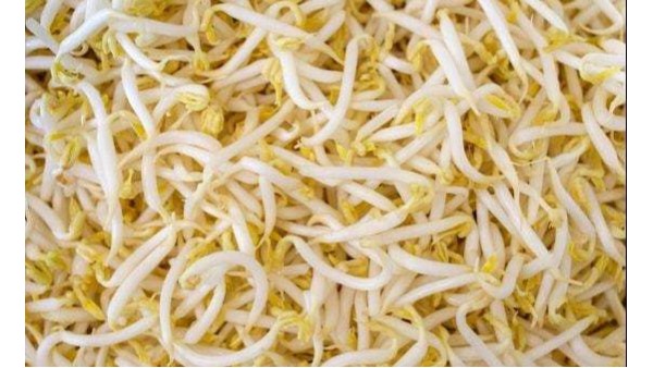 淳之文化®||瓷器小故事第二季之豆芽菜和瓷器的不解之缘？！？！