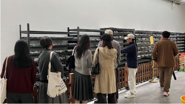 合作交流 || 上海高校艺术设计系莅临淳之博物馆参观调研