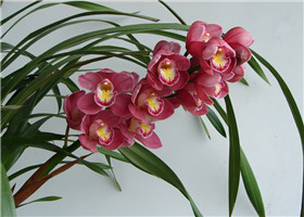 20170915171152_103652