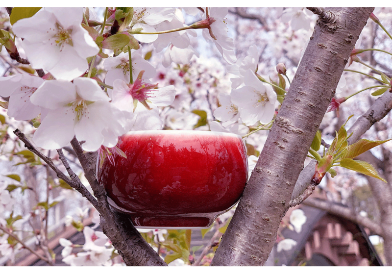 微信图片_20220421130054