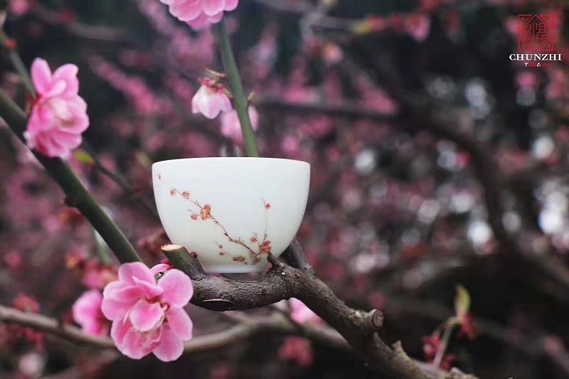 微信图片_20220402124125