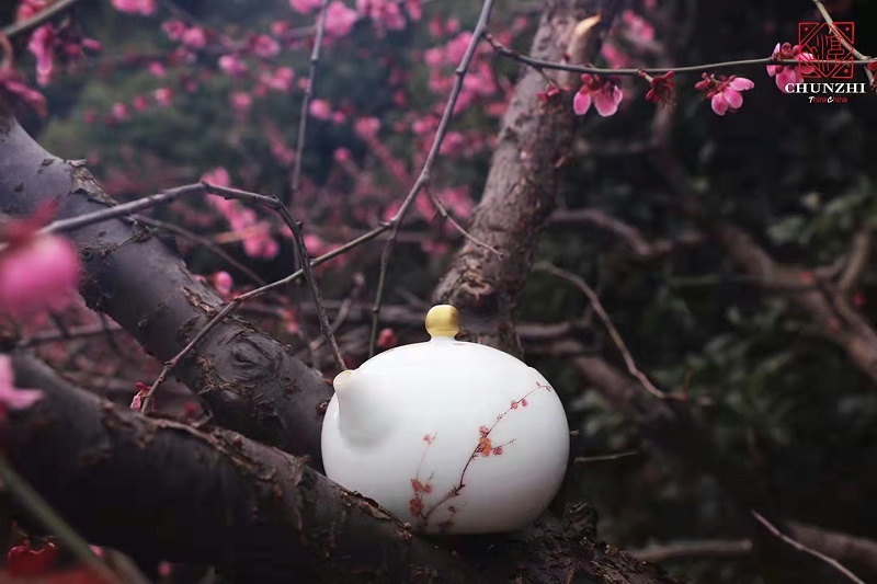 微信图片_20220402124127